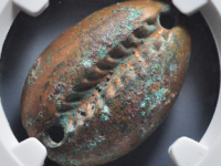 鎏金铜贝币评级币¥2590.00