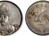 飞龙中华帝国洪宪纪元纪念银币