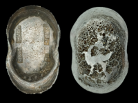 清“襄陵县光绪二十年十一月孙裕瑞”五十两银锭