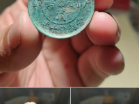 大清铜币湘鉴定